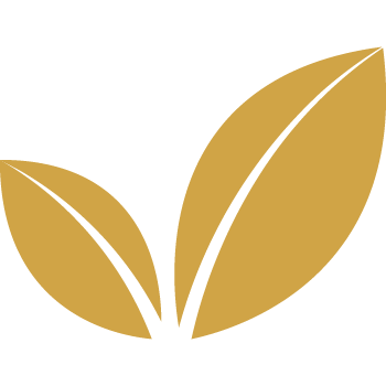 Vegan Paraben Free